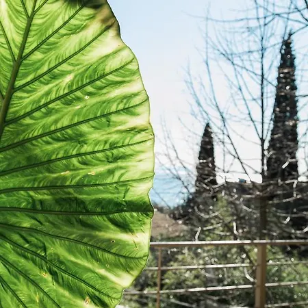 Villa Terra E Mare Seaview With Private Pool & Access Mpenitses