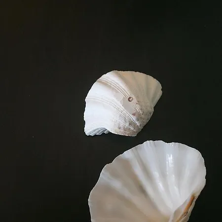 Terra E Mare Seaview With Private Pool & Access Mpenitses