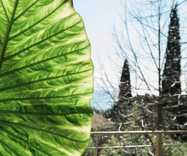 Βίλα Terra E Mare Seaview With Private Pool & Access Μπενίτσες