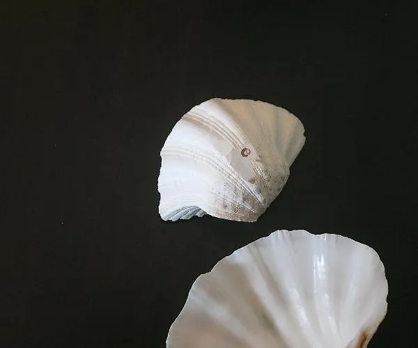 Terra E Mare Seaview With Private Pool & Access Μπενίτσες